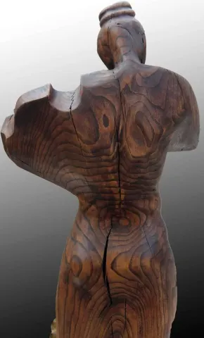 "Kemancı" eseri HAKAN ERASLAN tarafından 64x60 cm ölçülerinde yapılmıştır.