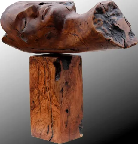"Uykuda" eseri HAKAN ERASLAN tarafından 64x60 cm ölçülerinde yapılmıştır.