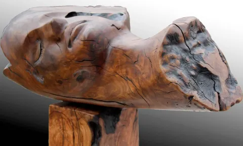 "Uykuda" eseri HAKAN ERASLAN tarafından 2015 yılında 45x50x25 cm ölçülerinde Ahşap tekniği ile yapılmıştır.