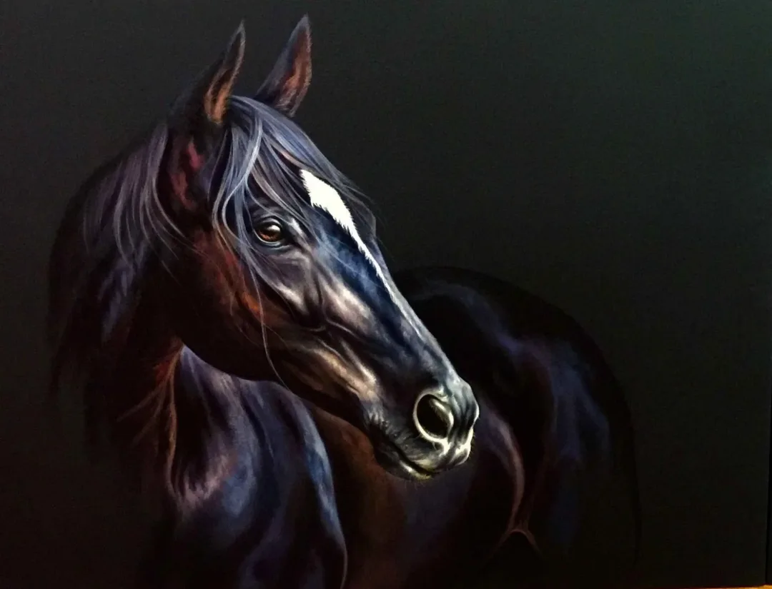 BEHZAT FEYZULLAH — “Bakış”, 2016 "Bakış" eseri BEHZAT FEYZULLAH tarafından 2016 yılında 80x100 cm ölçülerinde Tuval üzeri yağlı boya tekniği ile yapılmıştır.