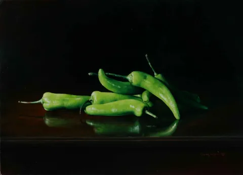 "Biberler" eseri HASAN SAYGIN tarafından 2009 yılında 46x33 cm ölçülerinde Tuval üzeri yağlı boya tekniği ile yapılmıştır.
