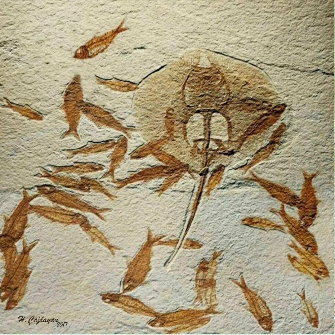 HASAN ÇAĞLAYAN — “isimsiz”, 2017 "isimsiz" eseri HASAN ÇAĞLAYAN tarafından 2017 yılında 25x25 cm ölçülerinde Tuval üzeri karışık teknik tekniği ile yapılmıştır.