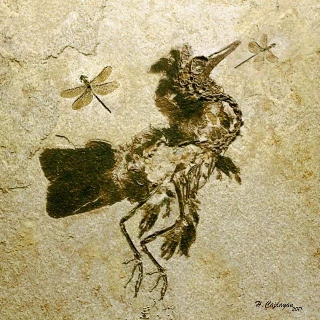 HASAN ÇAĞLAYAN — “isimsiz”, 2017 "isimsiz" eseri HASAN ÇAĞLAYAN tarafından 2017 yılında 25x25 cm ölçülerinde Tuval üzeri karışık teknik tekniği ile yapılmıştır.