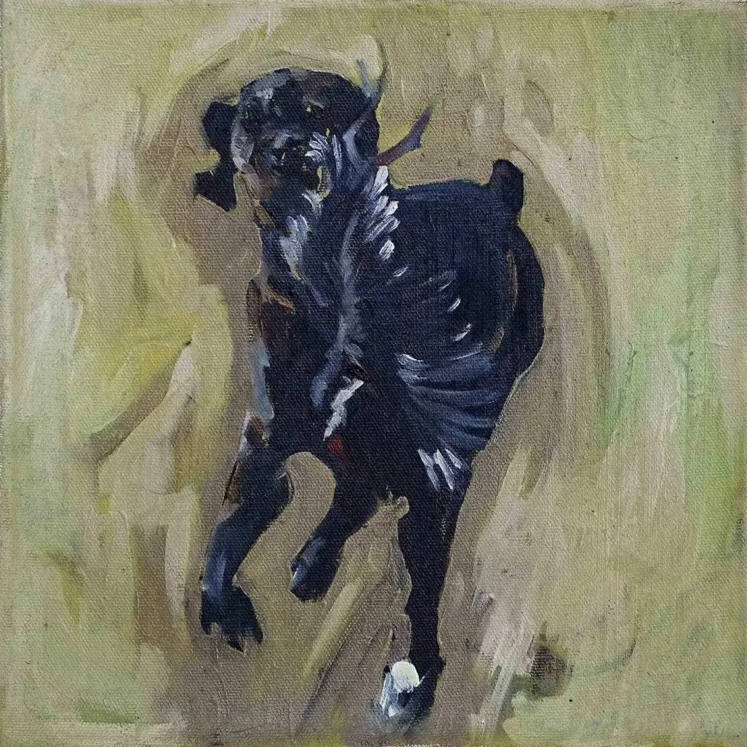 BURÇAK GÜNER GÖLGELİ — “isimsiz”, 2017 "isimsiz" eseri BURÇAK GÜNER GÖLGELİ tarafından 2017 yılında 25x25 cm ölçülerinde Tuval üzeri yağlı boya tekniği ile yapılmıştır.