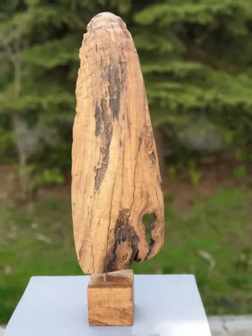 "Tutsak" eseri HAKAN ERASLAN tarafından 2018 yılında 71x21x16 cm ölçülerinde Zeytin Ağacı Yontu tekniği ile yapılmıştır.