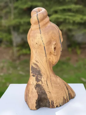 "Bakış" eseri HAKAN ERASLAN tarafından 2017 yılında 45x28x16 cm ölçülerinde Zeytin Ağacı Yontu tekniği ile yapılmıştır.