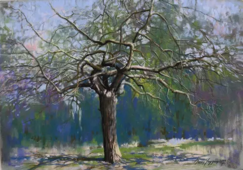 "Ağaç" eseri HASAN SAYGIN tarafından 33x47 cm ölçülerinde Kağıt üzeri pastel boya tekniği ile yapılmıştır.