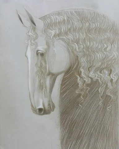 "Persona" eseri HAKAN ERASLAN tarafından 2019 yılında 34x25 cm ölçülerinde Kağıt üzeri desen tekniği ile yapılmıştır.