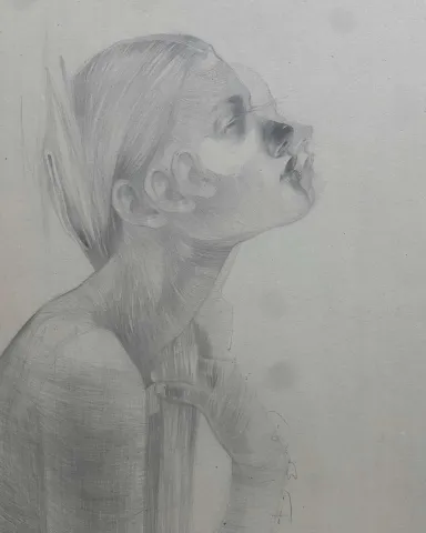 "Persona" eseri HAKAN ERASLAN tarafından 2021 yılında 70x50 cm ölçülerinde Kağıt üzeri desen tekniği ile yapılmıştır.