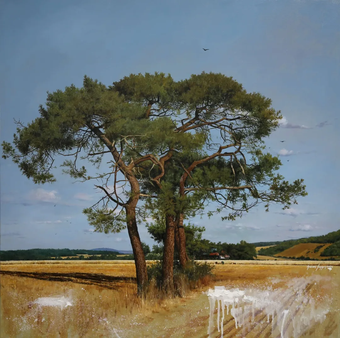 HASAN SAYGIN — “Çamlar”, 2022 "Çamlar" eseri HASAN SAYGIN tarafından 2022 yılında 79x79 cm ölçülerinde Tuval üzeri yağlı boya tekniği ile yapılmıştır.