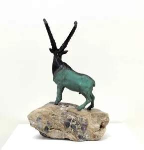 ALEXANDER DAVİDOV tarafından 35x22x13 cm ölçülerinde Bronz tekniği ile yapılmıştır.